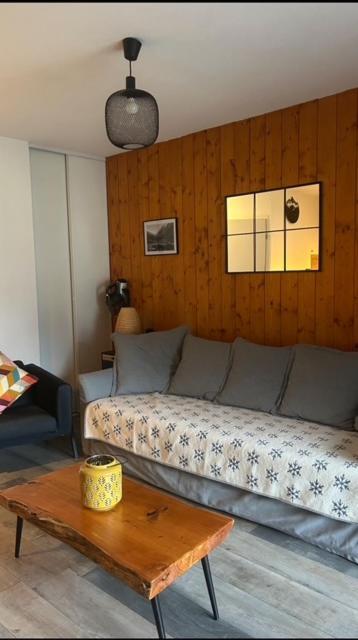 Appartement Tt Confort Au Coeur Des Montagnes Vue Sur Les Montagnes II Wifi Luz-Saint-Sauveur Luaran gambar